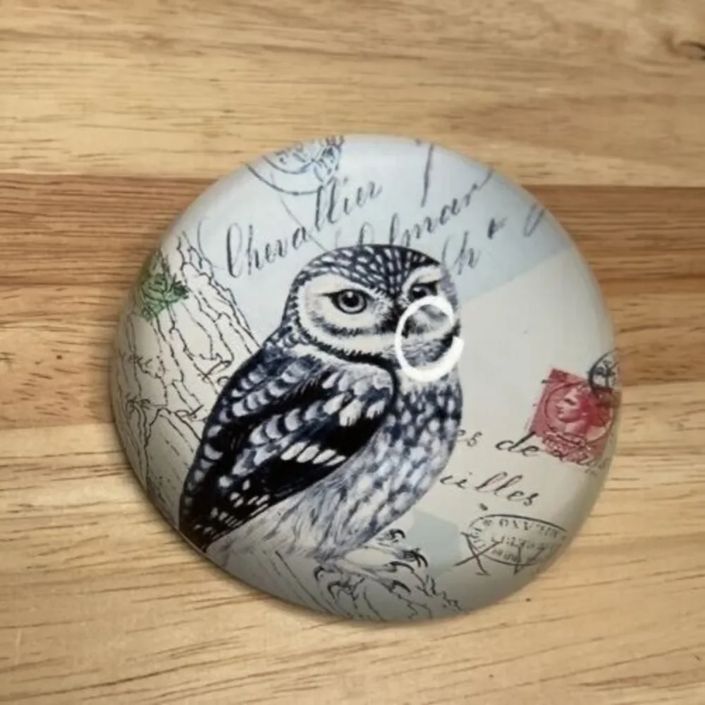Vintage Art Glass Owl Print Living Wisdom Dome Round‎ Paperweight 1.3